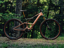 Orbea Rise LT M20 630W